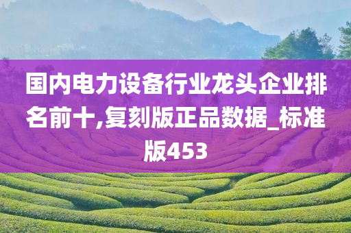 国内电力设备行业龙头企业排名前十,复刻版正品数据_标准版453