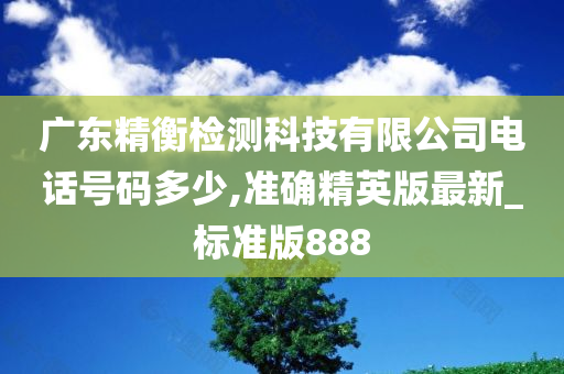 广东精衡检测科技有限公司电话号码多少,准确精英版最新_标准版888