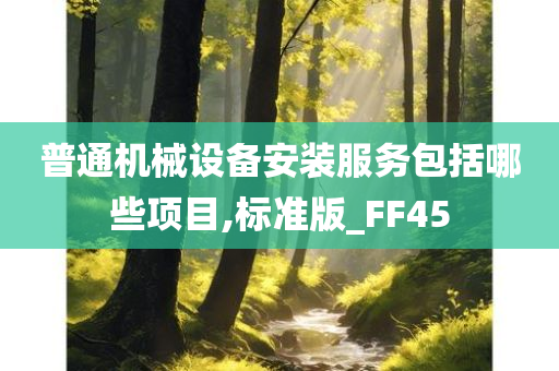 普通机械设备安装服务包括哪些项目,标准版_FF45