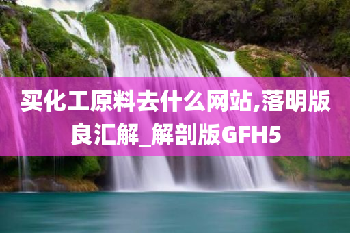 买化工原料去什么网站,落明版良汇解_解剖版GFH5