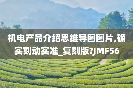 机电产品介绍思维导图图片,确实刻动实准_复刻版?JMF56