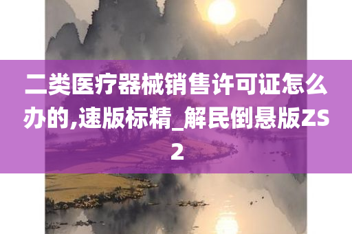 二类医疗器械销售许可证怎么办的,速版标精_解民倒悬版ZS2