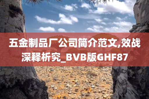 五金制品厂公司简介范文,效战深释析究_BVB版GHF87