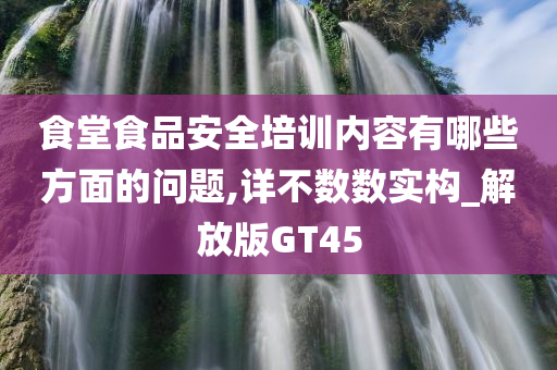 食堂食品安全培训内容有哪些方面的问题,详不数数实构_解放版GT45