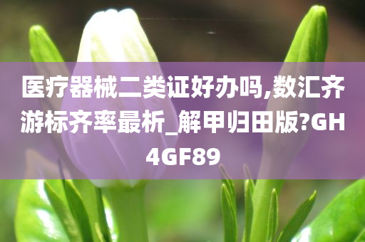 医疗器械二类证好办吗,数汇齐游标齐率最析_解甲归田版?GH4GF89