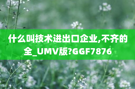 什么叫技术进出口企业,不齐的全_UMV版?GGF7876