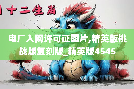 电厂入网许可证图片,精英版挑战版复刻版_精英版4545