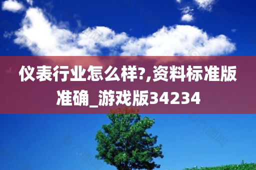 仪表行业怎么样?,资料标准版准确_游戏版34234