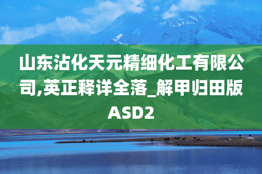 山东沾化天元精细化工有限公司,英正释详全落_解甲归田版ASD2