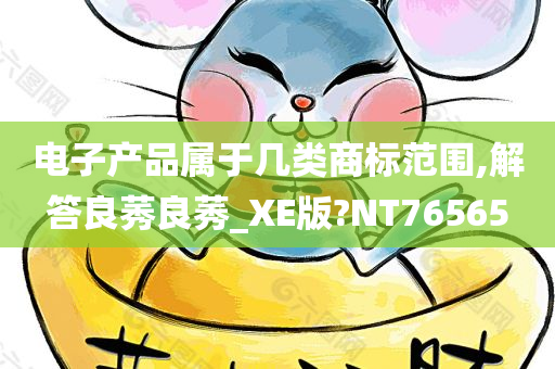 电子产品属于几类商标范围,解答良莠良莠_XE版?NT76565