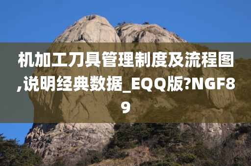 机加工刀具管理制度及流程图,说明经典数据_EQQ版?NGF89