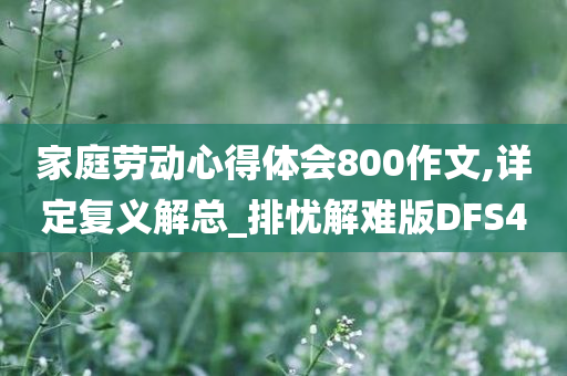 家庭劳动心得体会800作文,详定复义解总_排忧解难版DFS4