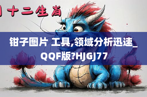 钳子图片 工具,领域分析迅速_QQF版?HJGJ77