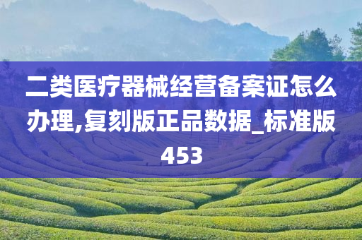 二类医疗器械经营备案证怎么办理,复刻版正品数据_标准版453