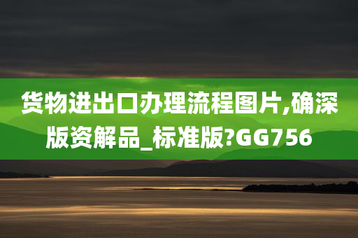 货物进出口办理流程图片,确深版资解品_标准版?GG756