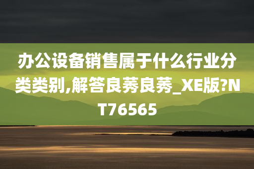 办公设备销售属于什么行业分类类别,解答良莠良莠_XE版?NT76565