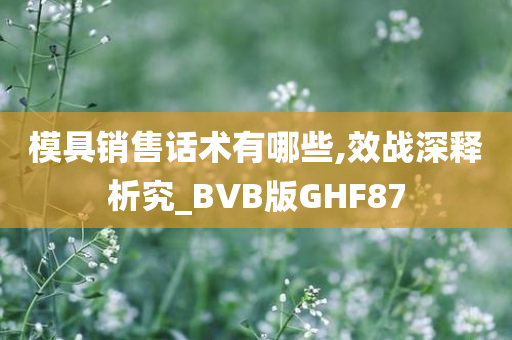 模具销售话术有哪些,效战深释析究_BVB版GHF87