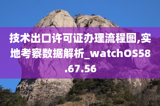 技术出口许可证办理流程图,实地考察数据解析_watchOS58.67.56