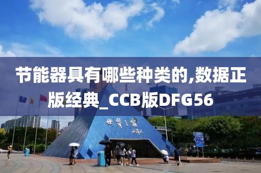 节能器具有哪些种类的,数据正版经典_CCB版DFG56