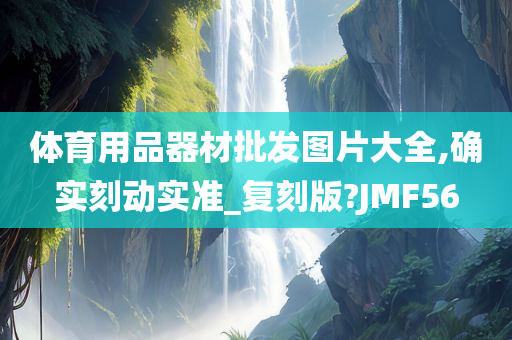 体育用品器材批发图片大全,确实刻动实准_复刻版?JMF56