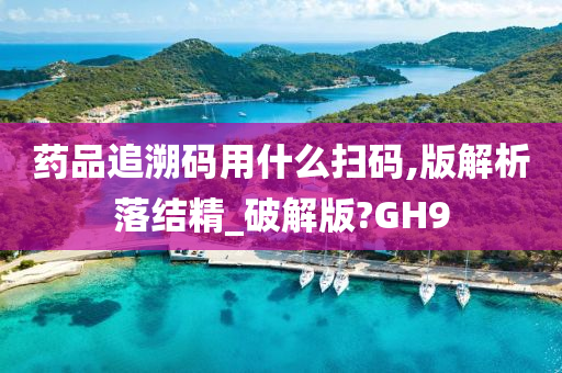 药品追溯码用什么扫码,版解析落结精_破解版?GH9