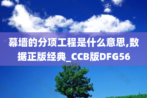 幕墙的分项工程是什么意思,数据正版经典_CCB版DFG56