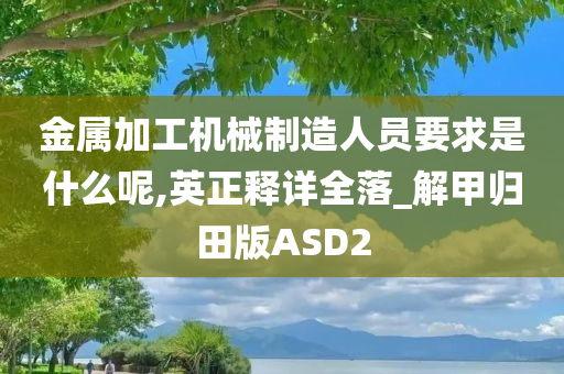 金属加工机械制造人员要求是什么呢,英正释详全落_解甲归田版ASD2