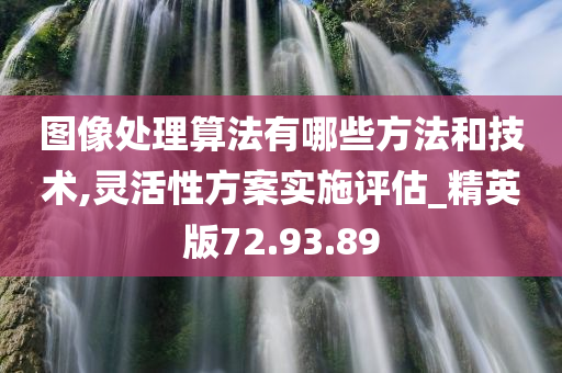 图像处理算法有哪些方法和技术,灵活性方案实施评估_精英版72.93.89