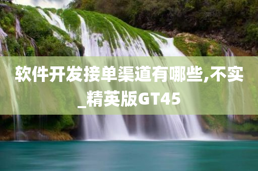 软件开发接单渠道有哪些,不实_精英版GT45