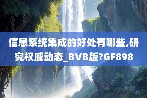 信息系统集成的好处有哪些,研究权威动态_BVB版?GF898