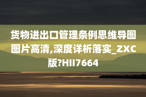 货物进出口管理条例思维导图图片高清,深度详析落实_ZXC版?HII7664