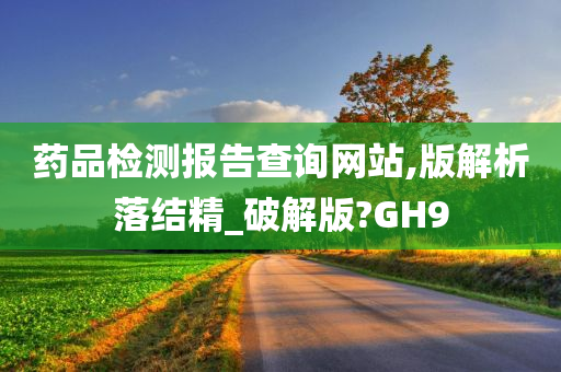 药品检测报告查询网站,版解析落结精_破解版?GH9