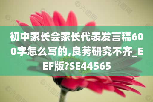 初中家长会家长代表发言稿600字怎么写的,良莠研究不齐_EEF版?SE44565