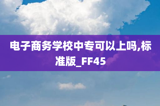 电子商务学校中专可以上吗,标准版_FF45