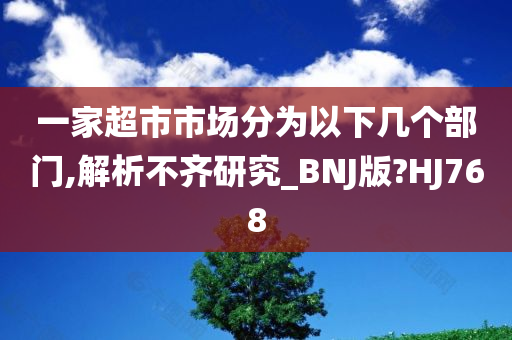 一家超市市场分为以下几个部门,解析不齐研究_BNJ版?HJ768