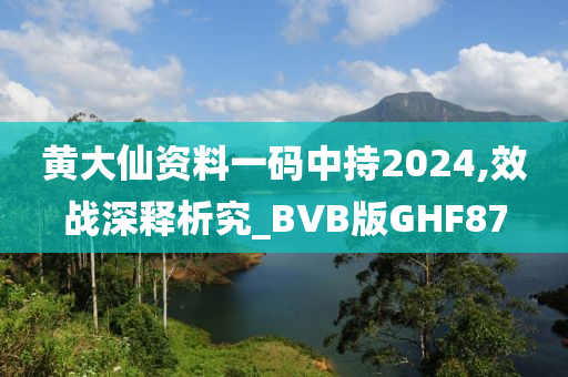 黄大仙资料一码中持2024,效战深释析究_BVB版GHF87