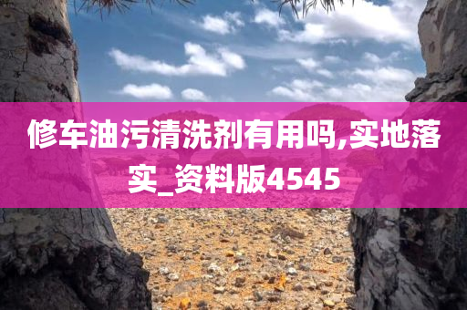 修车油污清洗剂有用吗,实地落实_资料版4545