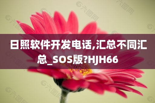 日照软件开发电话,汇总不同汇总_SOS版?HJH66