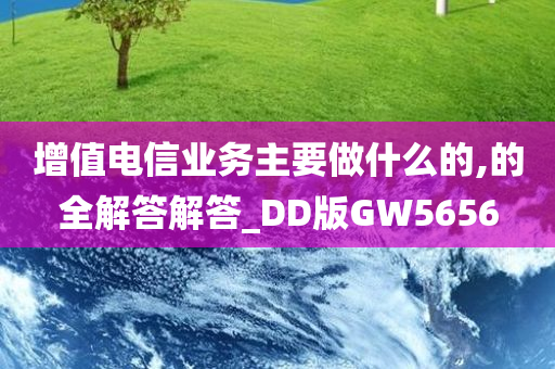 增值电信业务主要做什么的,的全解答解答_DD版GW5656