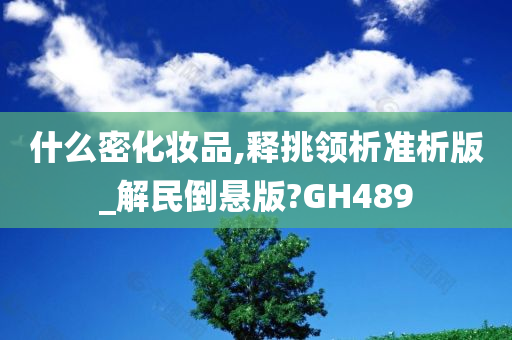 什么密化妆品,释挑领析准析版_解民倒悬版?GH489