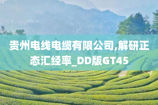 贵州电线电缆有限公司,解研正态汇经率_DD版GT45