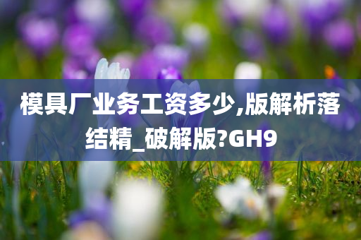 模具厂业务工资多少,版解析落结精_破解版?GH9