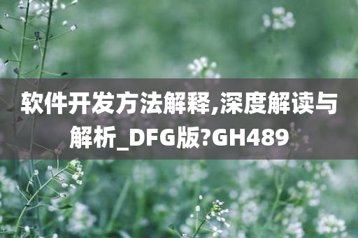 软件开发方法解释,深度解读与解析_DFG版?GH489