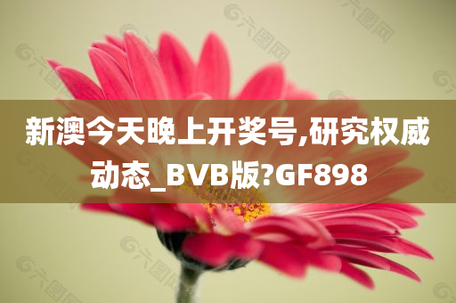 新澳今天晚上开奖号,研究权威动态_BVB版?GF898