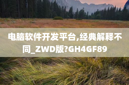 电脑软件开发平台,经典解释不同_ZWD版?GH4GF89