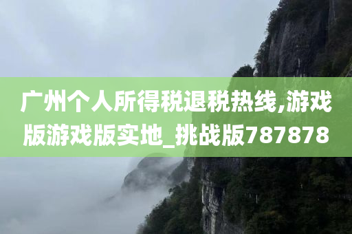 广州个人所得税退税热线,游戏版游戏版实地_挑战版787878