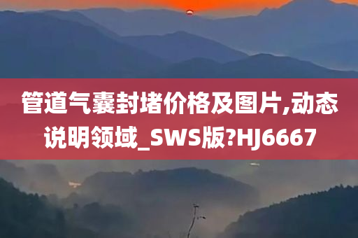 管道气囊封堵价格及图片,动态说明领域_SWS版?HJ6667