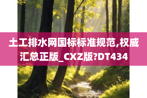 土工排水网国标标准规范,权威汇总正版_CXZ版?DT434