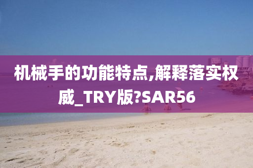 机械手的功能特点,解释落实权威_TRY版?SAR56