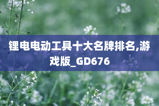 锂电电动工具十大名牌排名,游戏版_GD676